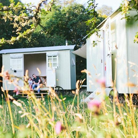 Snowdonia Shepherds' Huts Conwy Zewnętrze zdjęcie