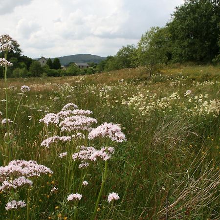 Snowdonia Shepherds' Huts Conwy Zewnętrze zdjęcie
