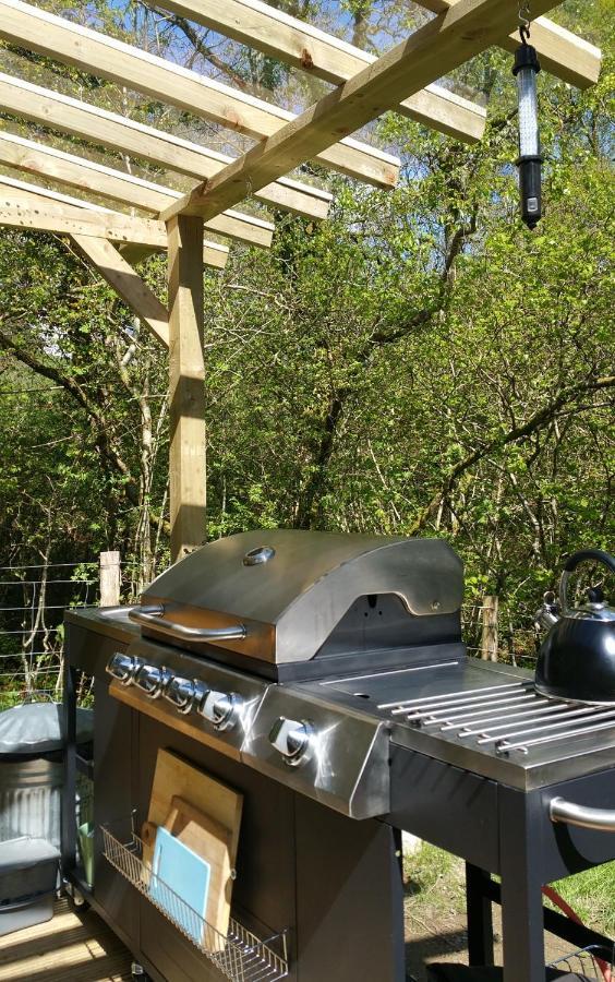 Snowdonia Shepherds' Huts Conwy Zewnętrze zdjęcie