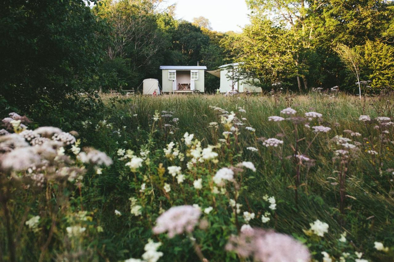 Snowdonia Shepherds' Huts Conwy Zewnętrze zdjęcie