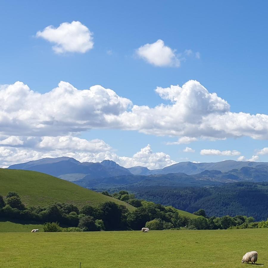 Snowdonia Shepherds' Huts Conwy Zewnętrze zdjęcie